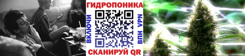 Канабис план Купить закладки Судак